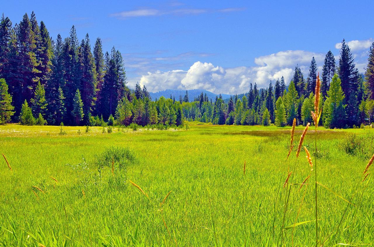 Leavenworth Camping Resort Tiny House Rudolf ภายนอก รูปภาพ